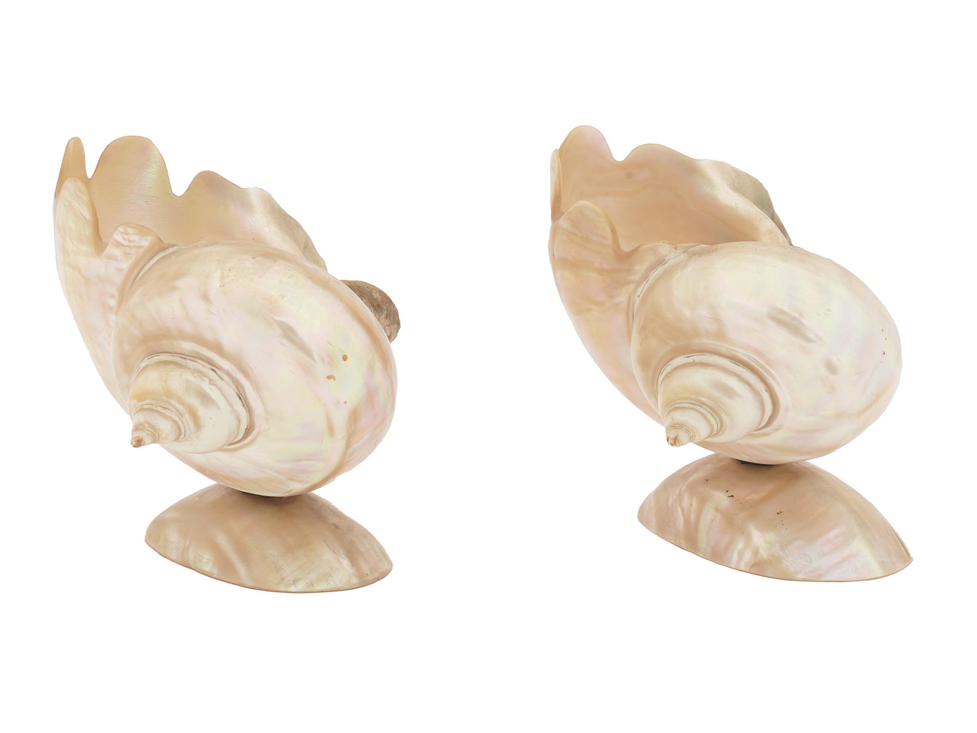 PAIR OF NACRE MOTHER OF PEARL SEA SHELLS VASES PIC-0
